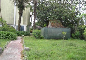 imagem_13
