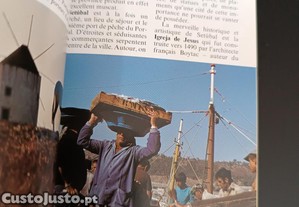 imagem_5