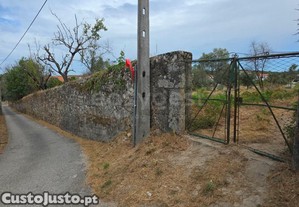 imagem_16