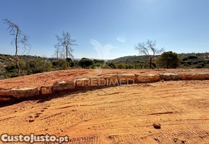 imagem_13