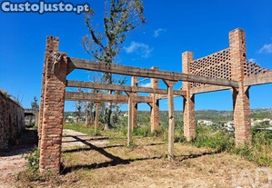 imagem_17