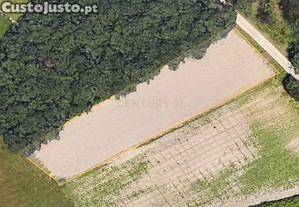 Terreno em Vagos - Oportunidade nica
