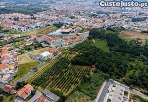 imagem_8