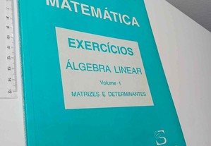 Matemática (Exercícios Álgebra Linear - Volume I - Matrizes e Determinantes) - Manuel Alberto M. Ferreira