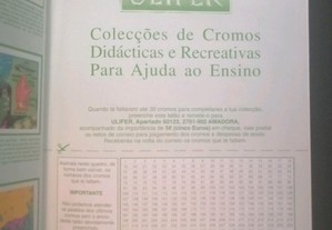 imagem_6