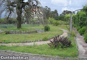 imagem_14