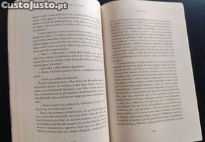 imagem_8