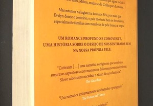 imagem_4