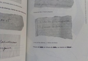 imagem_3