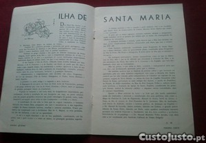 imagem_8