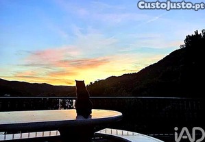imagem_9