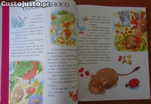imagem_4