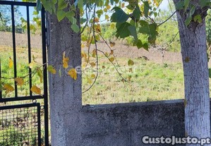 imagem_10