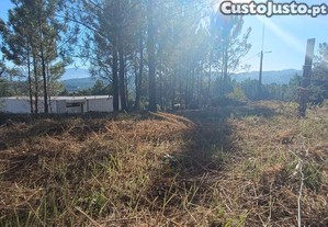 imagem_8
