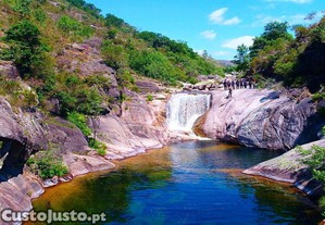 imagem_14