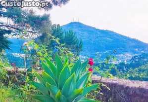 imagem_38