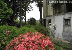 imagem_16
