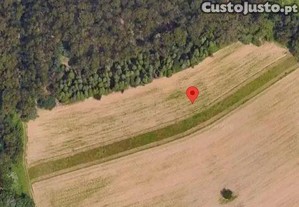 Terreno Agrcola em lhavo com Vista Campestre