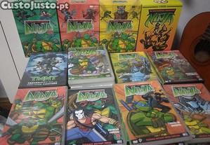 imagem_12
