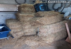 Fardos de erva seca