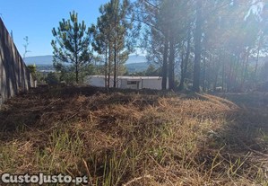 imagem_12