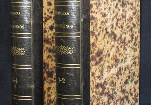 Livro A Princeza dos Ursinos Fernandez y Gonzalez 1874