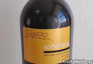 imagem_1