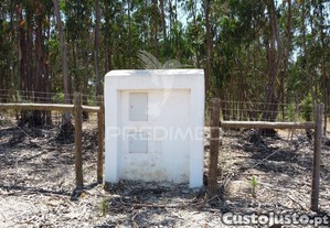 imagem_14