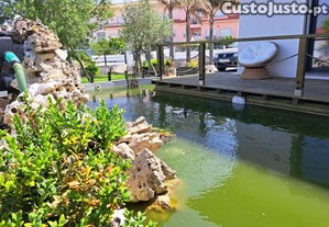 imagem_14