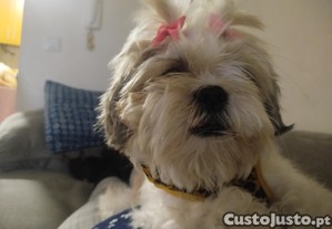 imagem_5