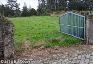 Terreno Agrícola em Fonte Boa e Rio Tinto