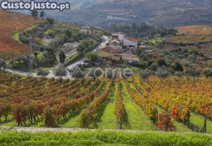 Quinta Do Viso - Peso Da Régua