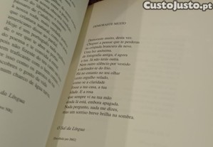 imagem_12