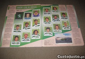 imagem_5