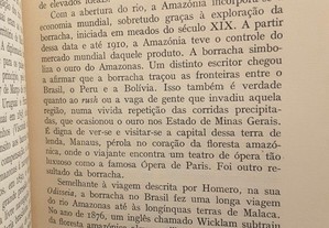 imagem_4
