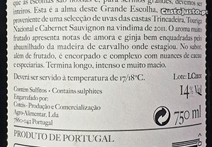 imagem_3