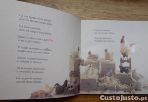 imagem_3