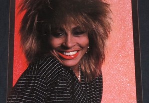 Calendário de Parede de 1993 Poster Tina Turner 