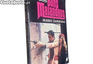 imagem_1
