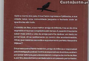 imagem_2