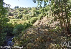 Terreno Agrícola em Espinhal