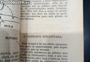 imagem_5