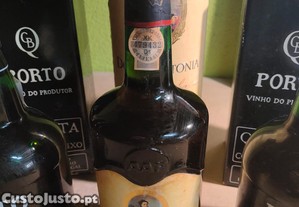 imagem_4