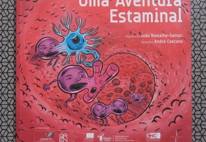 imagem_6