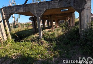 imagem_24