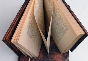 imagem_6