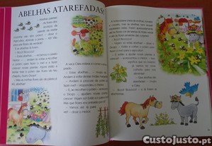 imagem_5