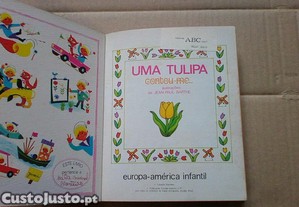 imagem_3