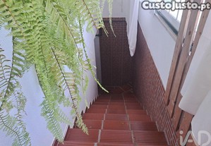 imagem_10