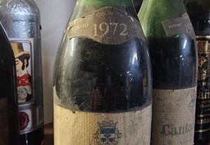 Vinho Tinto Cantanhede 1972